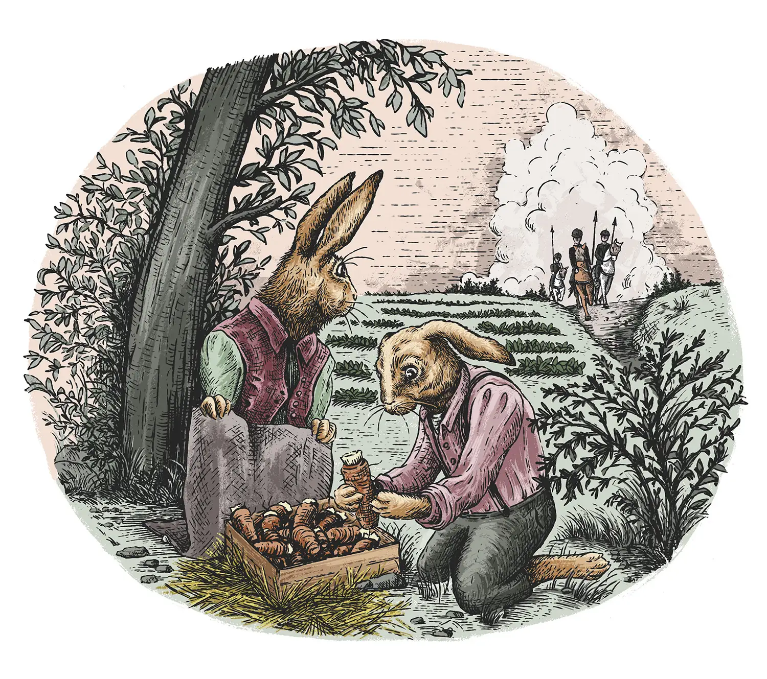 Illusztráció a régi mesék stílusában, fekete-fehér vonal, színes: 2 felegyenesedett járású, történelmi ruházatú nyúl cikóriagyökereket rejteget a közeledő megszállók elől. Nyúlcsalád egy szabadtéri asztalnál, amint cikóriából készült ételt fogyasztanak.